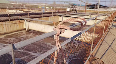 ?雷茨空氣懸浮風(fēng)機(jī)，讓食品廠污水處理節(jié)能30%-50%